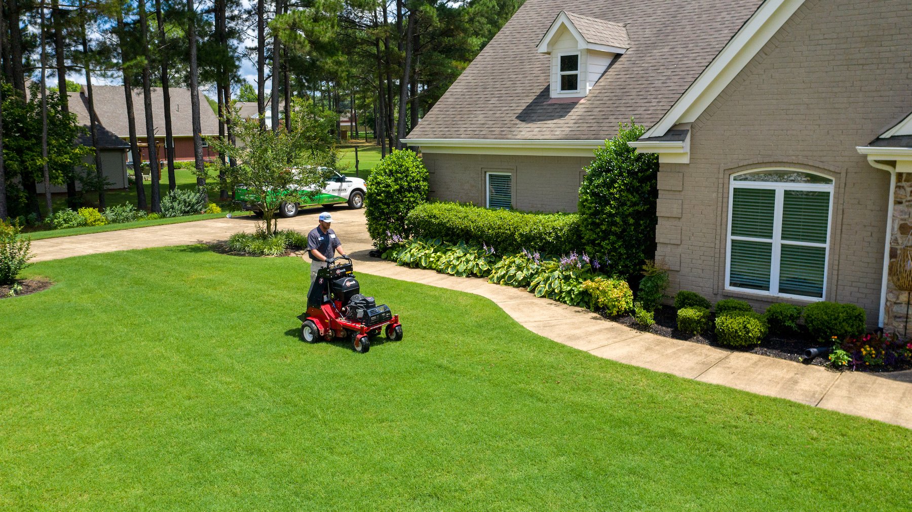 All About Poa Annua: How to Identify & Control Annual Bluegrass